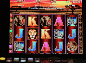 森林舞会电玩城客户端